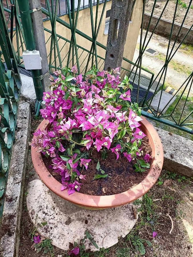 Da Ange E Bru Villa Sestri Levante