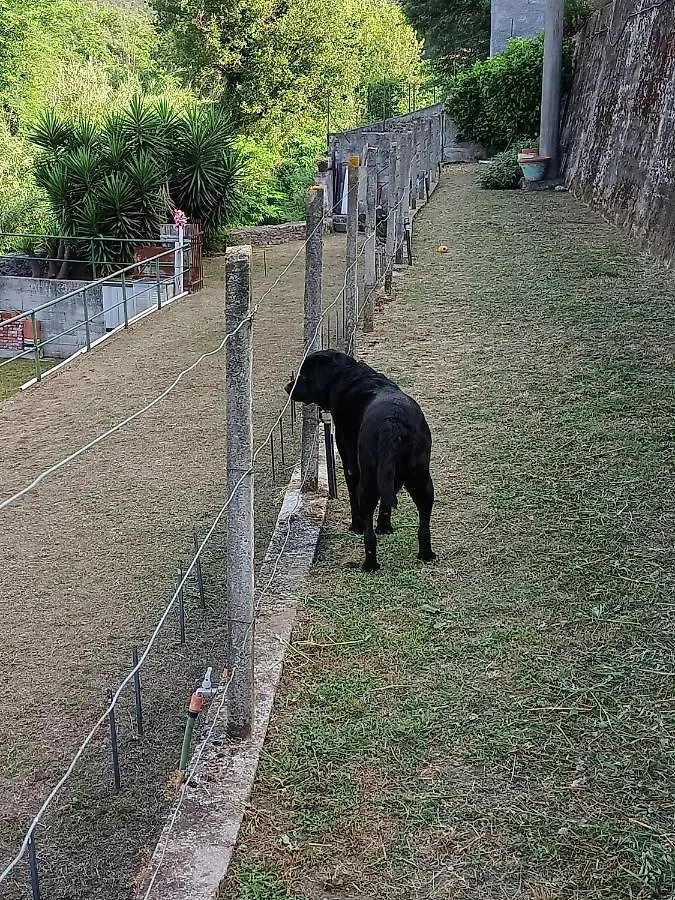 Hébergement de vacances Villa Da Ange E Bru à Sestri Levante Italie