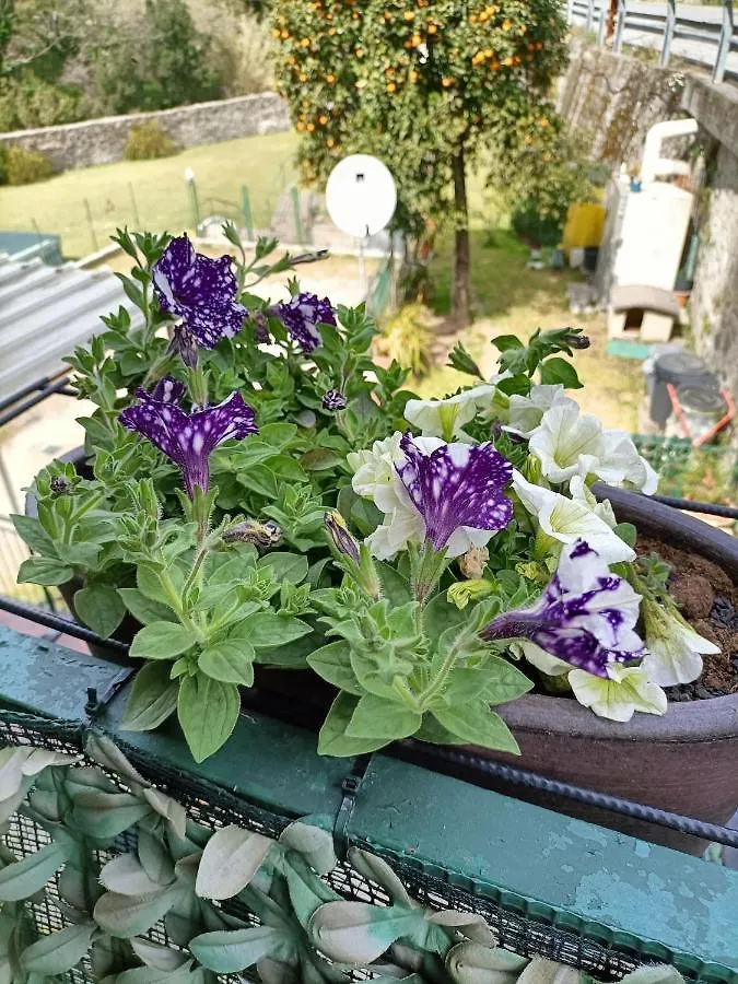 Hébergement de vacances Villa Da Ange E Bru à Sestri Levante Italie
